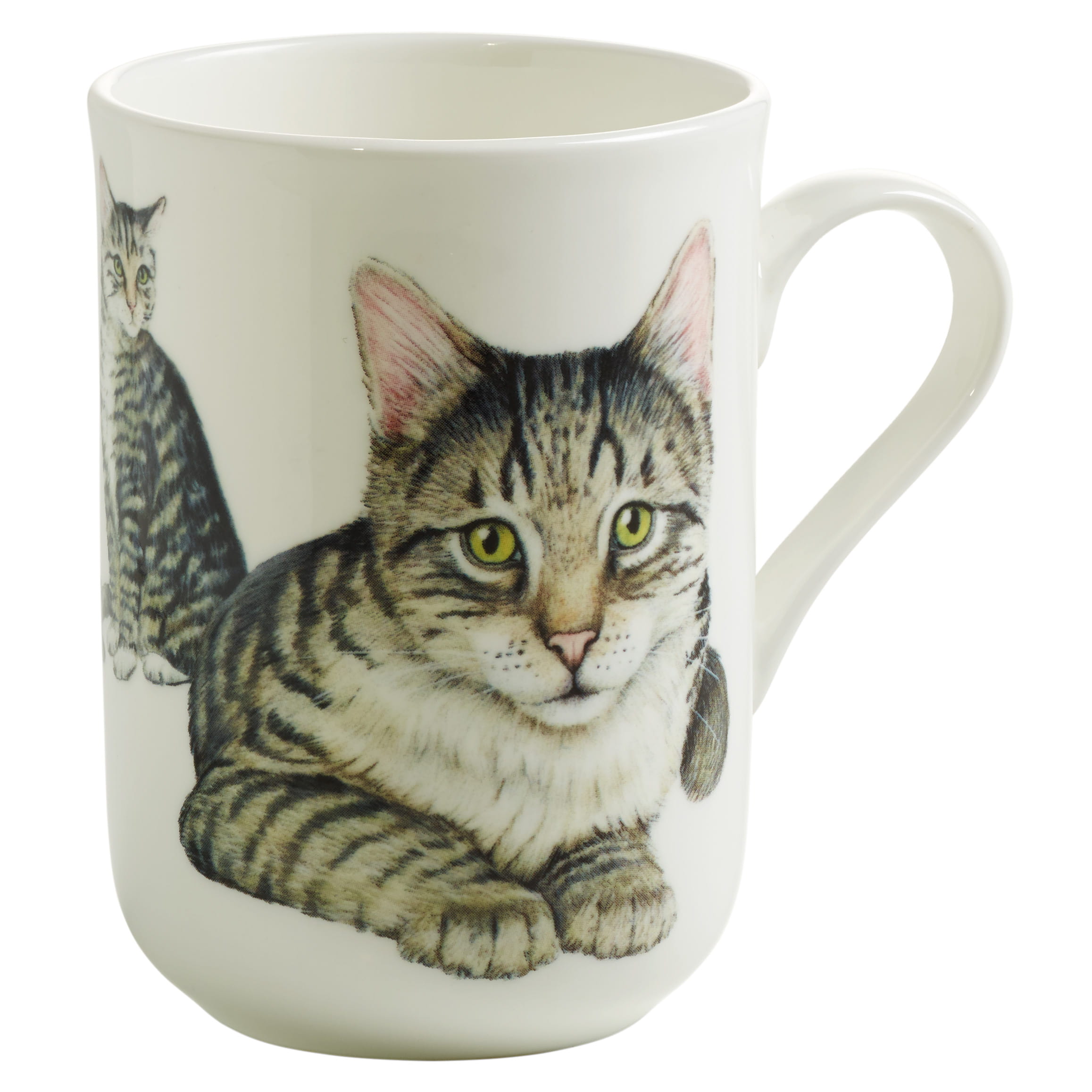 PETS Becher Europäisch Kurzhaar Katze, Bone China